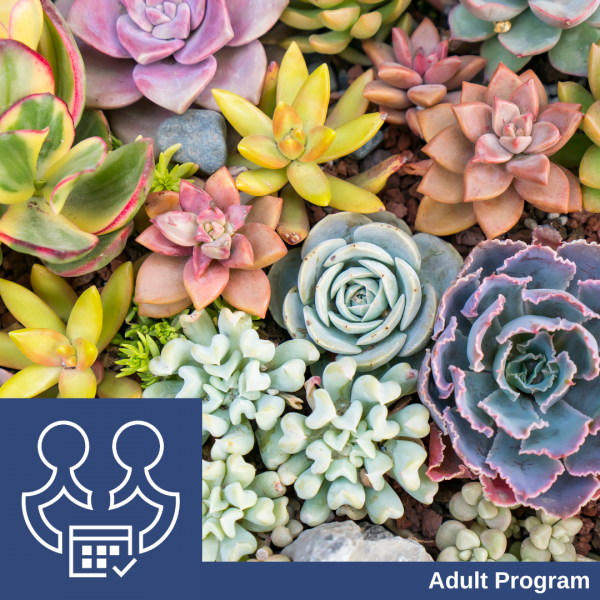 Image for event: Succulents: Grow Them With Confidence!